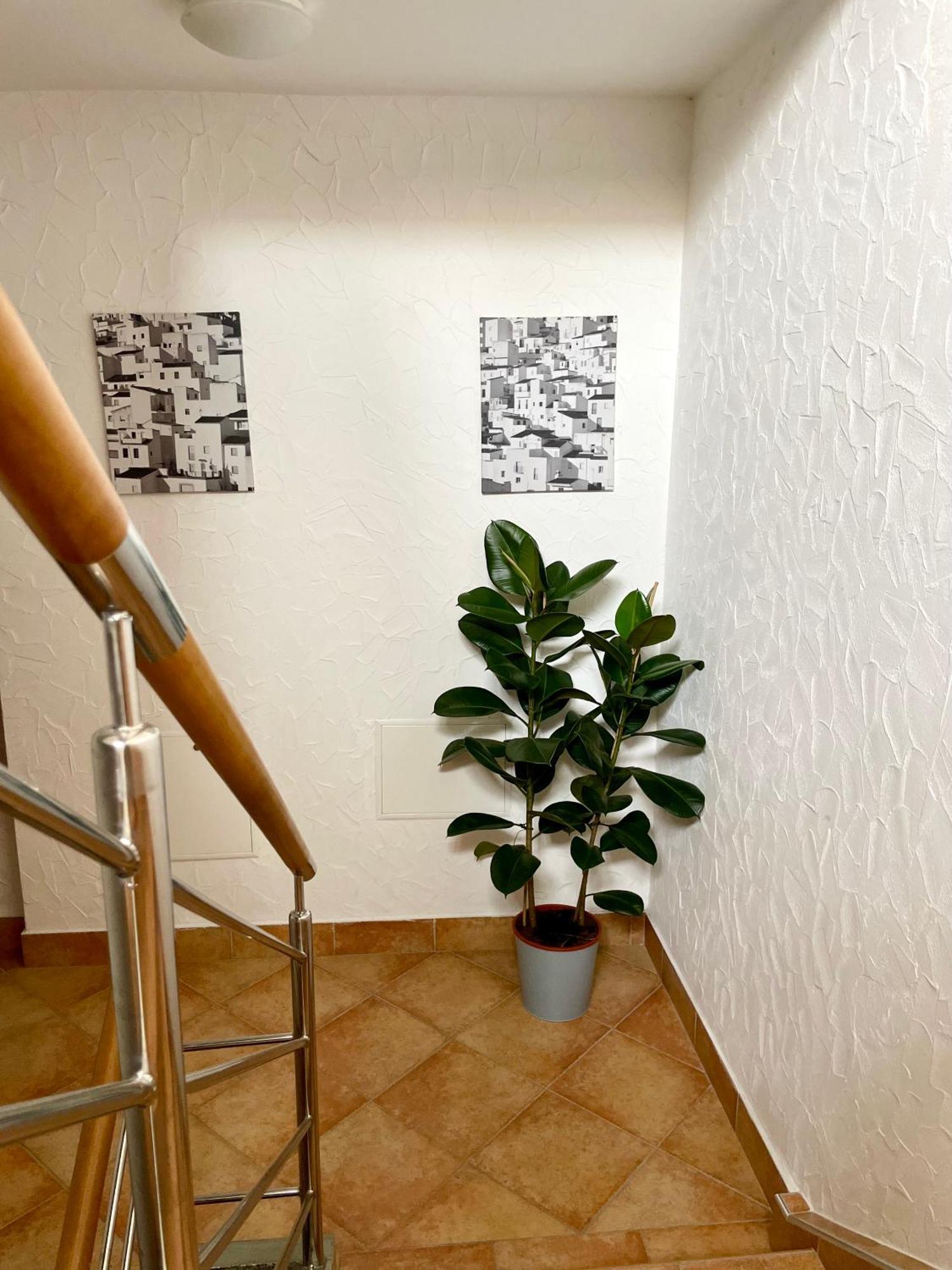 All Seasons Apartments Lasko Ngoại thất bức ảnh